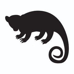 Cuscus silhouettes and icons. Black flat color simple elegant Cuscus animal vector and illustration.