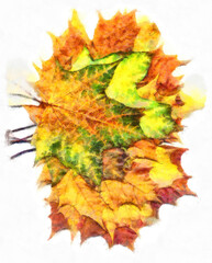 Bouquet of fall maple leaves digital watercolors