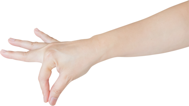 Woman hand gesture holding something isolated on white background