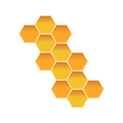 yellow honeycombs of a beehive on a white background