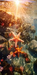 Fototapeta na wymiar starfish on the rocks in the water of a vibrant thriving coral reef 