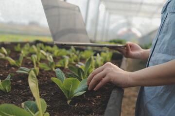 A black female farmer using a tablet smiling friendly at the organic vegetable plots inside the nursery.African woman Taking care of the vegetable plot with happiness in greenhouse using technology.