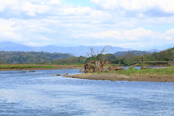 Excursion by boat on Rio Tarcoles near Tarcoles in Costa Rica