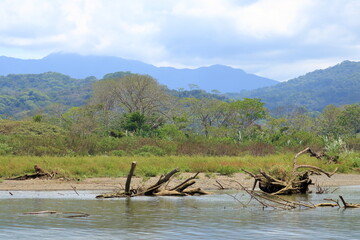 Excursion by boat on Rio Tarcoles near Tarcoles in Costa Rica