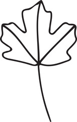 Hand Drawn Leaf Outline