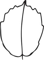 Hand Drawn Leaf Outline