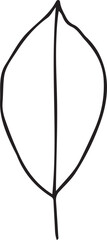 Hand Drawn Leaf Outline