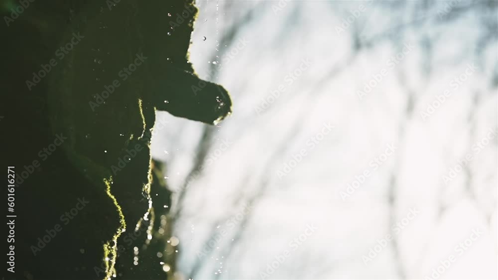 Poster rack focus from trees to water droplets splashing and cascading across mossy rock