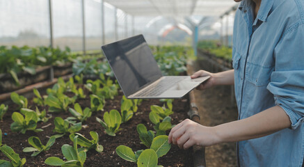 Asian woman farmer using digital tablet in vegetable garden at greenhouse, Business agriculture technology concept, quality smart farmer.