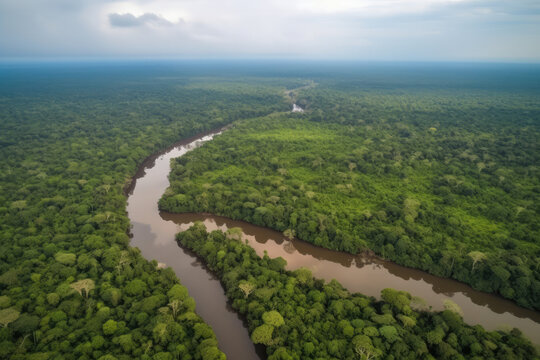 Aerial View of the Amazon Rainforest with a branch of amazon river South American country of Peru's tropical green jungle. aerial perspective, generative AI