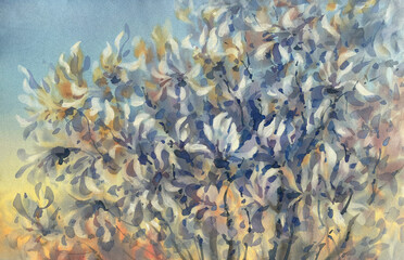 Magnolia branches flowering in evening light watercolor background. Spring illustration