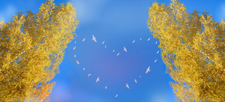 White doves flying in the blue sky, autumn yellow bright tree. Dove of Peace, symbol. Heart shape frame. Wide banner