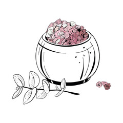 Vector illustration of set with pink sea cosmetic salt on glass bowl and plant stem. Black outline, graphic drawing in curves. For postcards, design and composition decoration, prints, posters