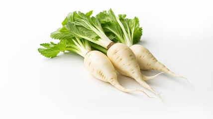 isolated white background photo of Daikon.  generative ai