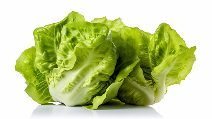 isolated white background photo of lettuce. generative ai