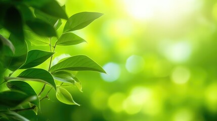 Close up of water drop on green leaf with copy space for nature background, Generative AI