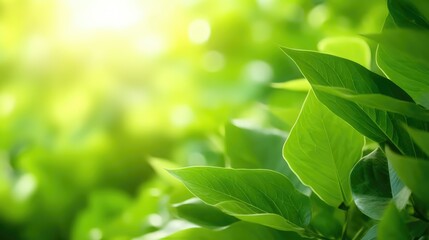 Close up of water drop on green leaf with copy space for nature background, Generative AI