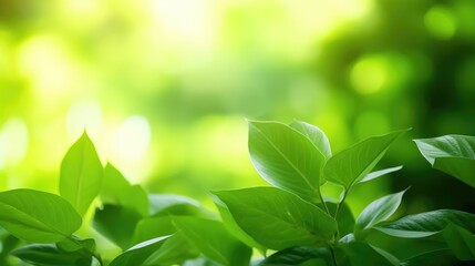 Close up of water drop on green leaf with copy space for nature background, Generative AI