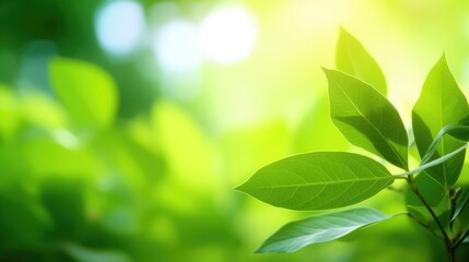 Close up of water drop on green leaf with copy space for nature background, Generative AI
