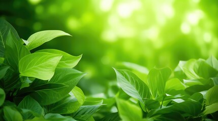 Close up of water drop on green leaf with copy space for nature background, Generative AI