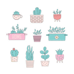 Cartoon home plants in flowerpot vector illustrations. Trendy home decor, cactus, urban jungle, cute houseplants, for stickers, card, story, social media