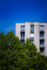 Fototapeta na wymiar Tour, bâtiment, immeuble avec arbres et ciel bleu