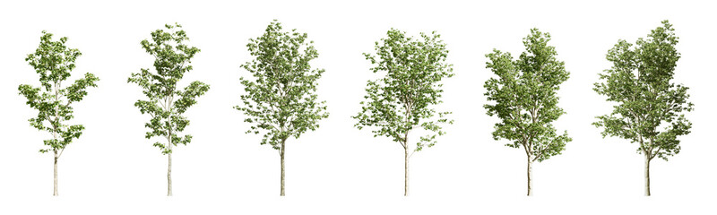 isolate tree in 3d rendering	