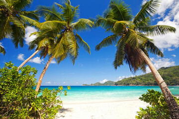 tropischer Palmenstrand Seychellen