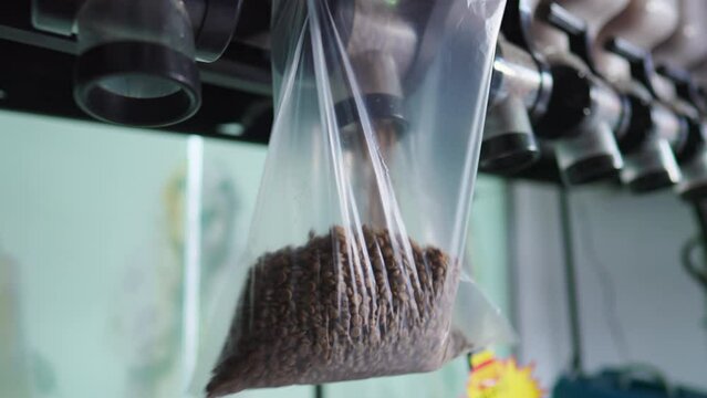 Close-up of hand filling plastic bag with Dog Cereal at Pet Shop Dispenser. Convenient pet store dog food dispenser in action