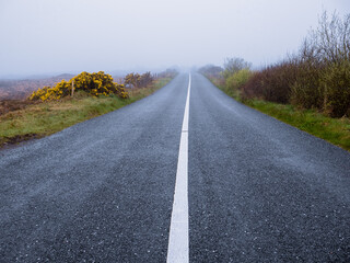 Small narrow rural road in a fog. Dangerous driving conditions. Cold color tone. Nobody. Irish landscape.
