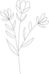 floral, illustration, spring, nature, leaf, flower, design, summer, garden, plant, art