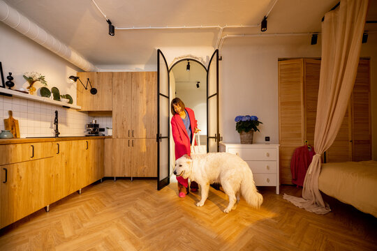 Dog meets its owner at the doorway of living room at home. Concept of a happy homecoming when your pets are waiting for you. Wide interior view