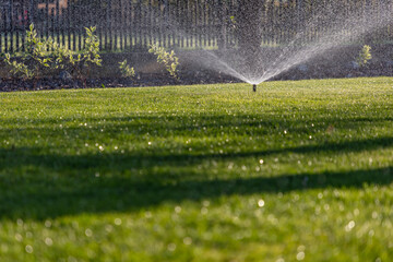 Eco-friendly Garden: Automatic Lawn Sprinkler System at Sunrise