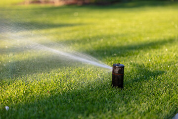 Eco-friendly Garden: Automatic Lawn Sprinkler System at Sunrise