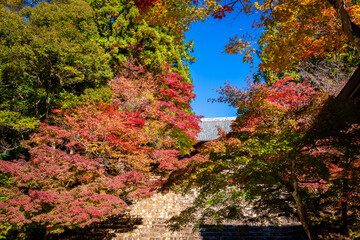 秋の京都・神護寺で見た、カラフルな紅葉と快晴の青空