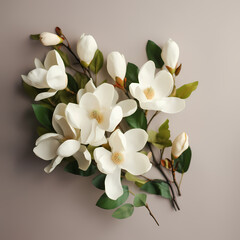 White Magnolia Bouquet Flat Lay Top View Illustration