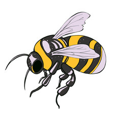 Hand drawing of a honey bee isolated on white background