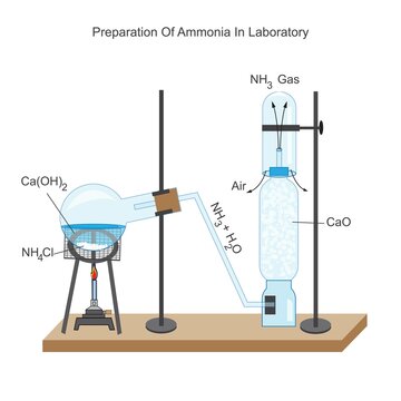 Preparation of ammonia in laboratory. ammonium chloride  and calcium hydroxide react  to give ammonia . Chemical illustration. education and science use.