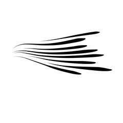 Speed lines isolated