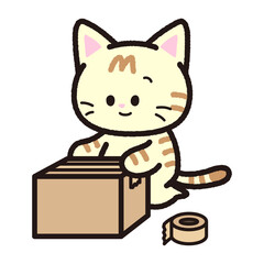 梱包する茶トラ猫