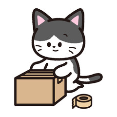 梱包する黒いハチワレ猫