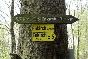 Wegweiser