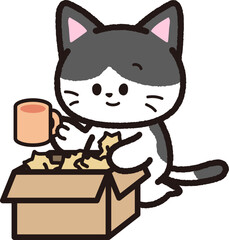 荷物を段ボールから取り出す黒いハチワレ猫