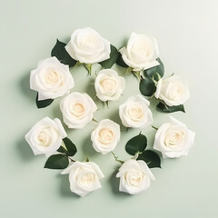 Obraz na płótnie Canvas Studio Photography Of White Roses On Solid Background Illustration