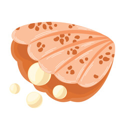 Shell with pearl. Decoration, jewel, underwater world. Vector hand draw illustration isolated on the white background. 