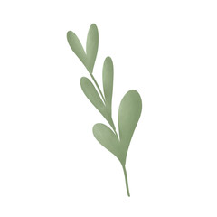 Plant isolated on white hand drawn illustration