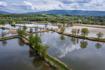 Fototapeta na wymiar Fish ponds in Miedzyrzecze Gorne village, Silesia region of Poland
