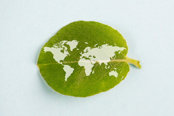 World map on a green leaf, save and protection of planet earth, csr concept, environment discussion
