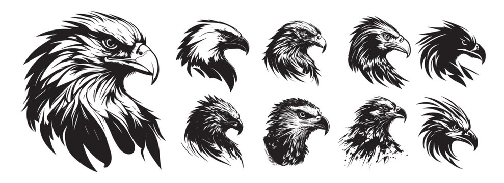 Eagle heads black and white vector. Silhouette svg shapes of eagle illustration.