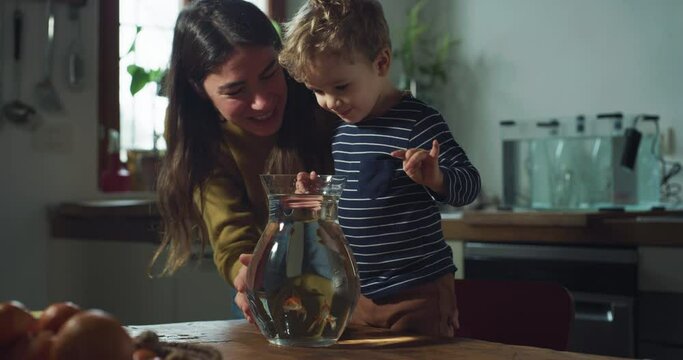 Portrait of Little Excited Boy Receiving his First Pet Goldfishes From his Mother in a Kitchen at Home. Woman Encouraging and Supporting her Toddler's Sense of Curiosity 